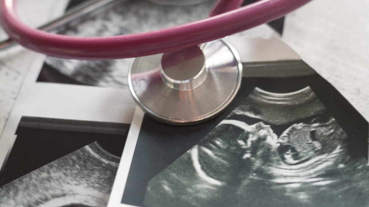 14esima settimana di gravidanza