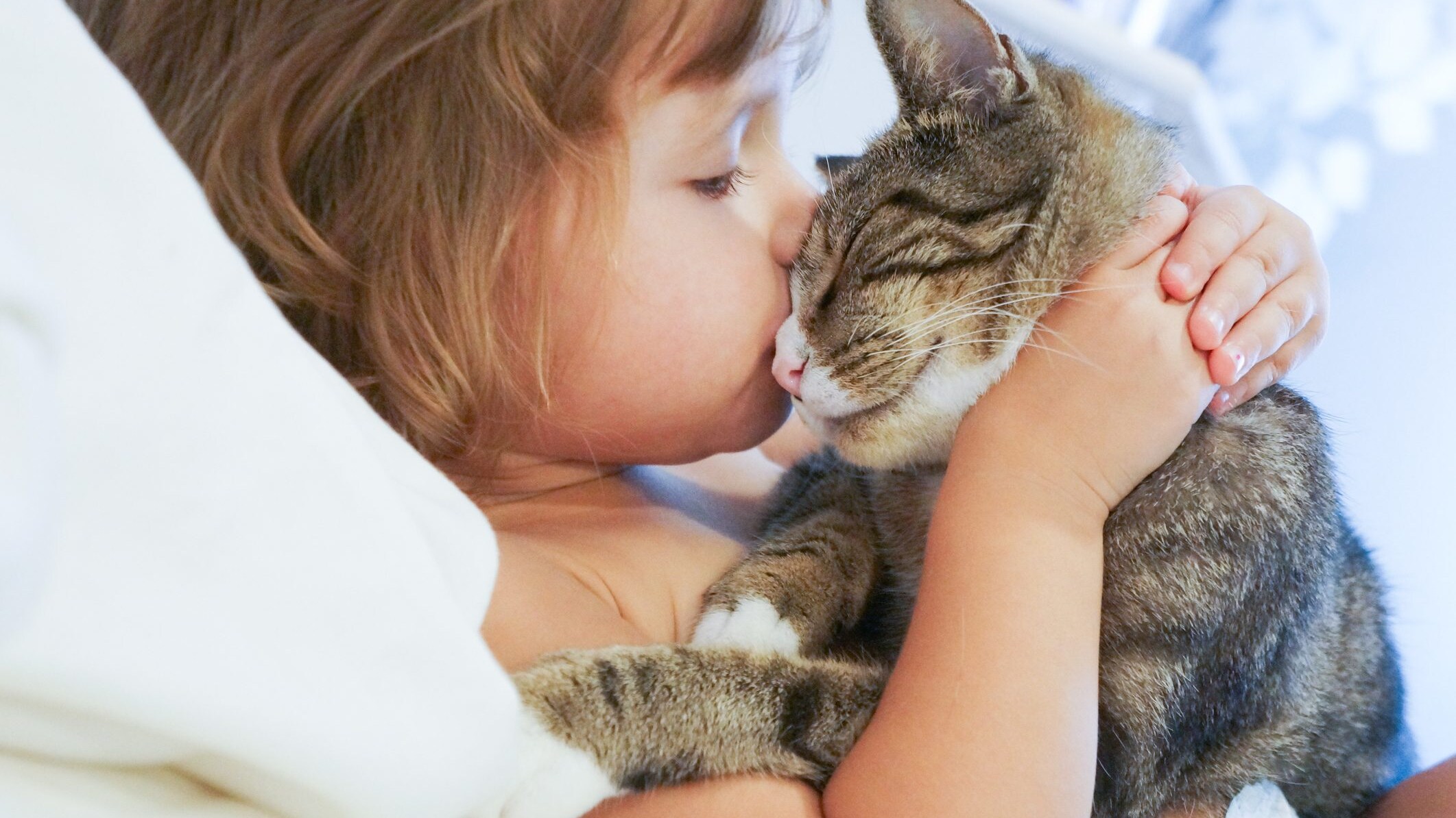 bambini e gatti