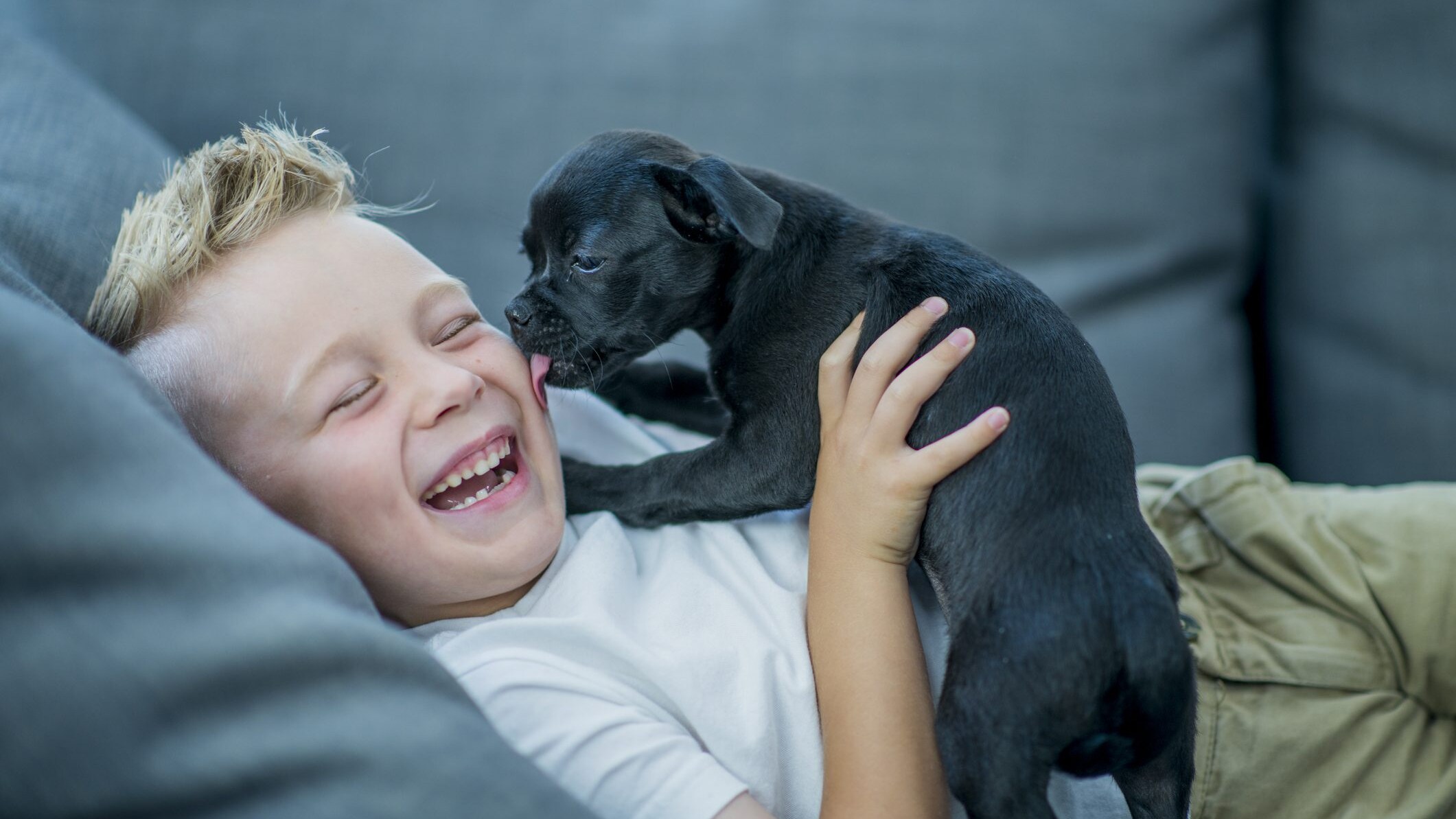 cani e bambini