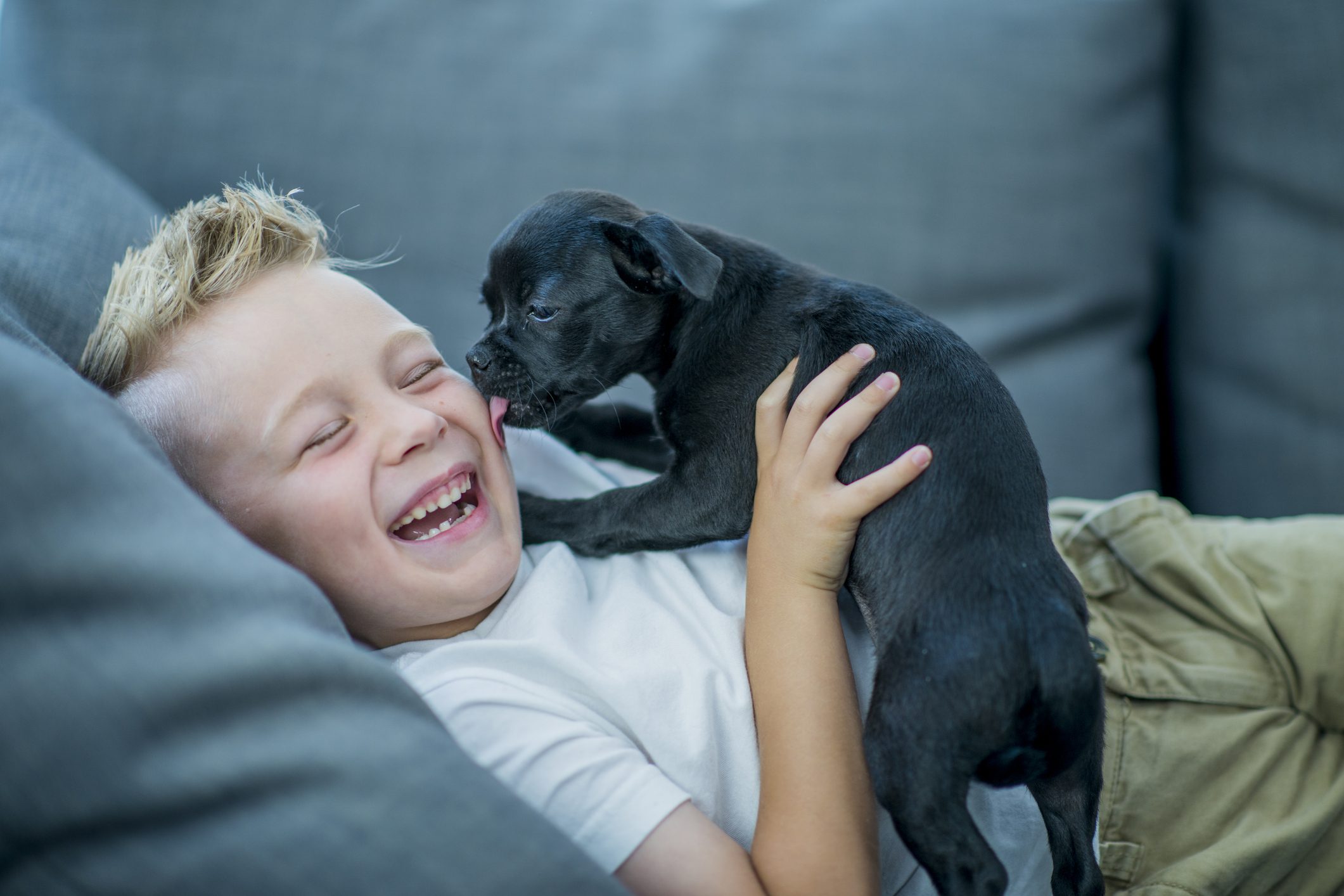 cani e bambini