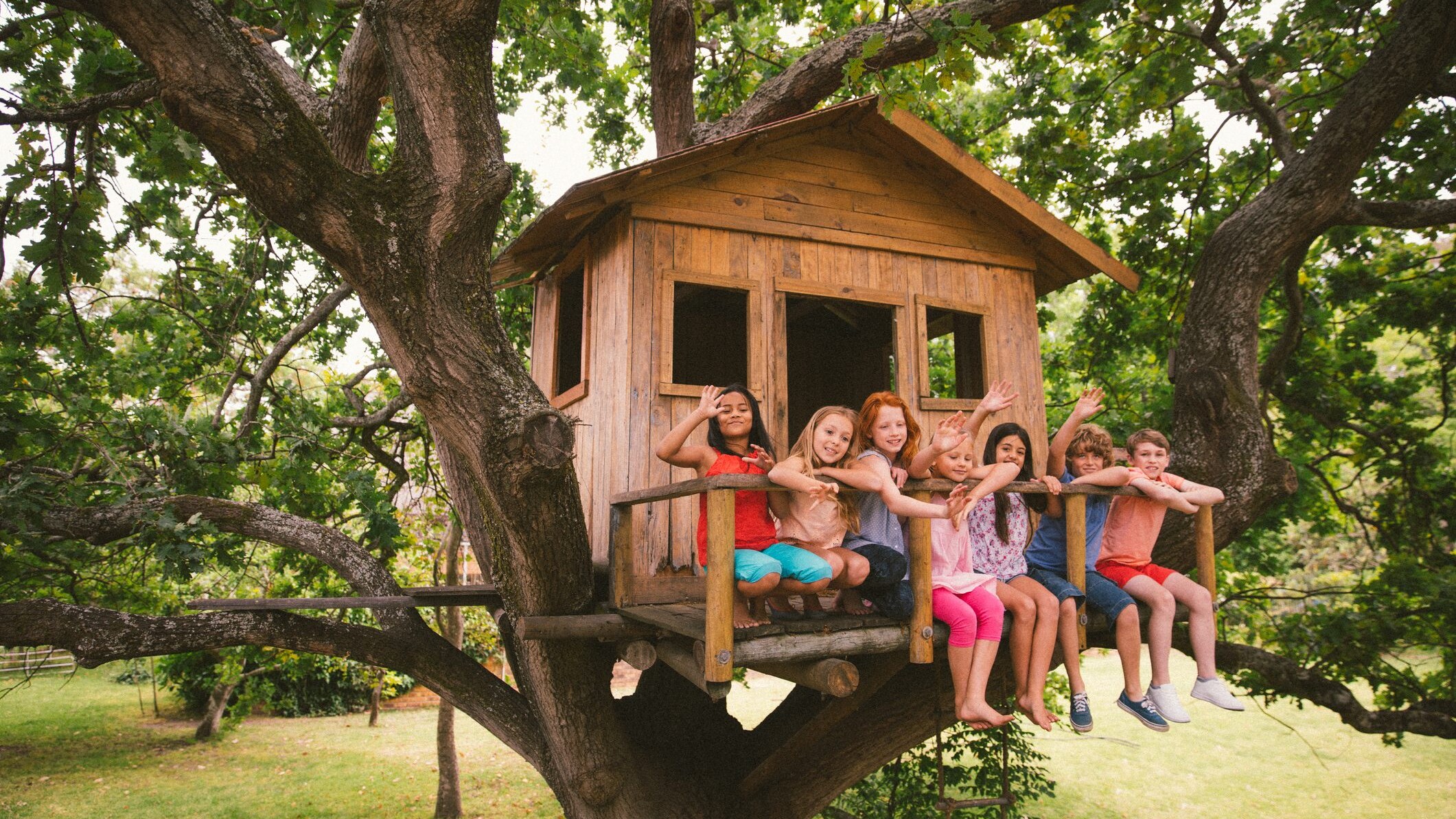 casa su albero