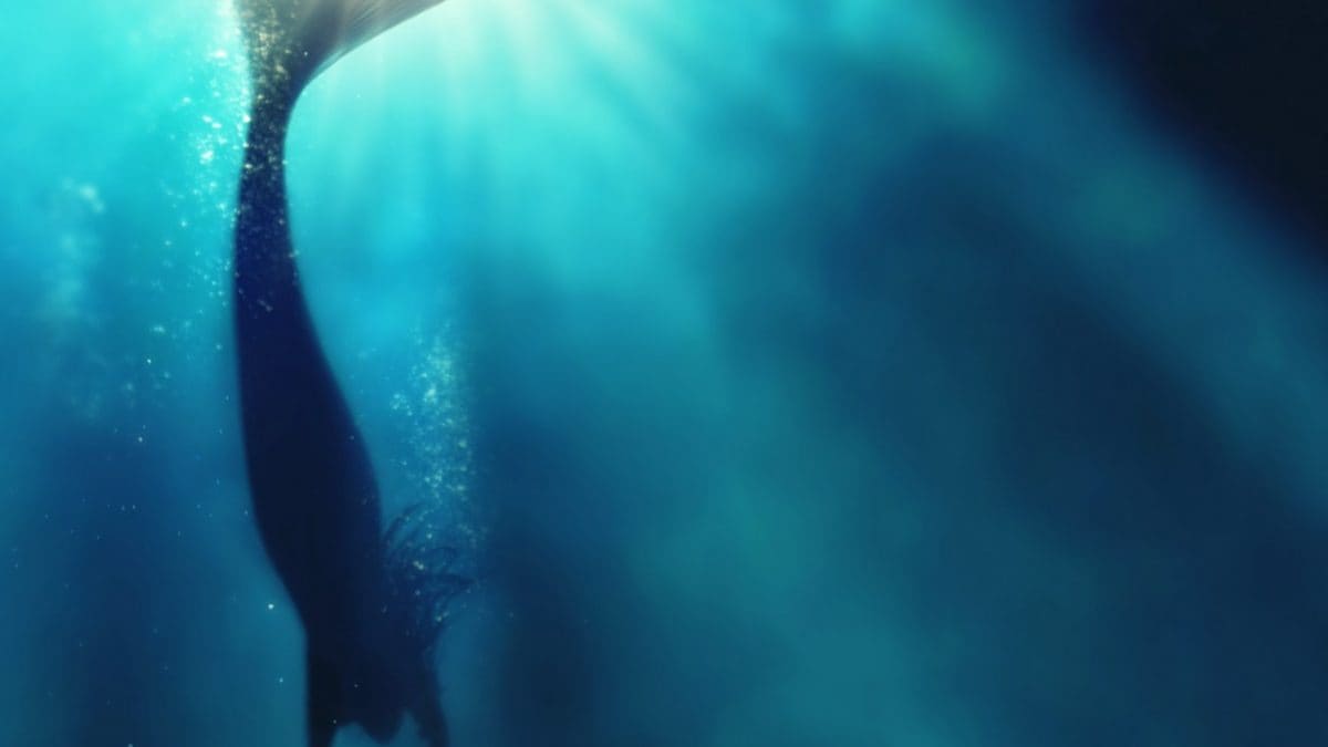 sirenetta fiaba cosa ci insegna