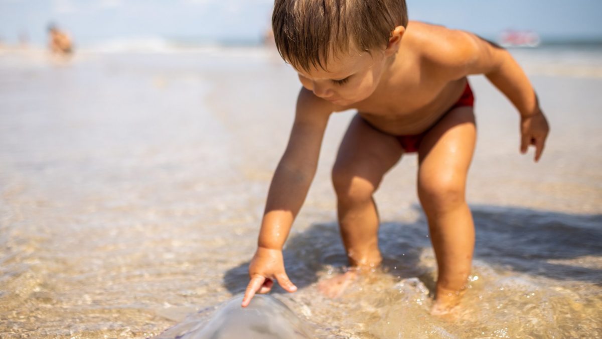 Bambino con medusa