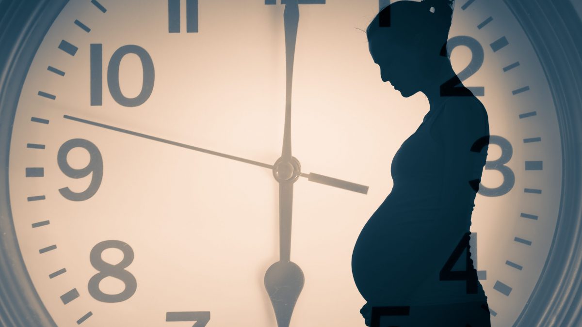 data presunta del parto