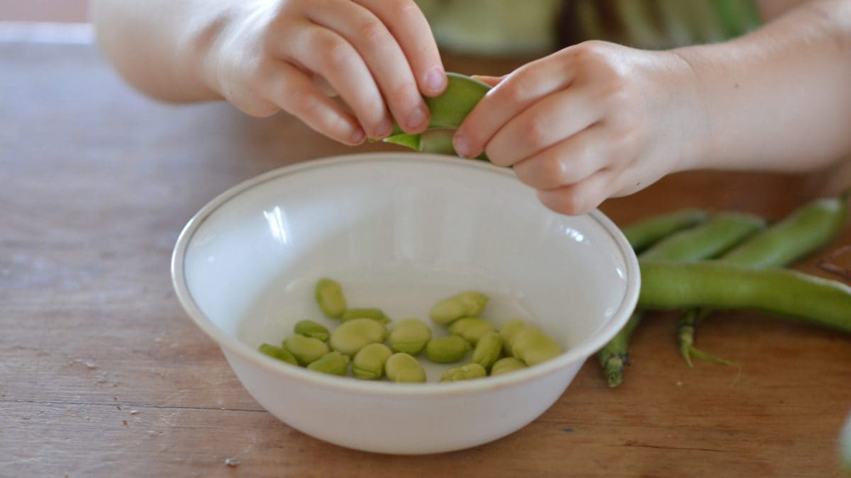 I bambini possono mangiare le fave?