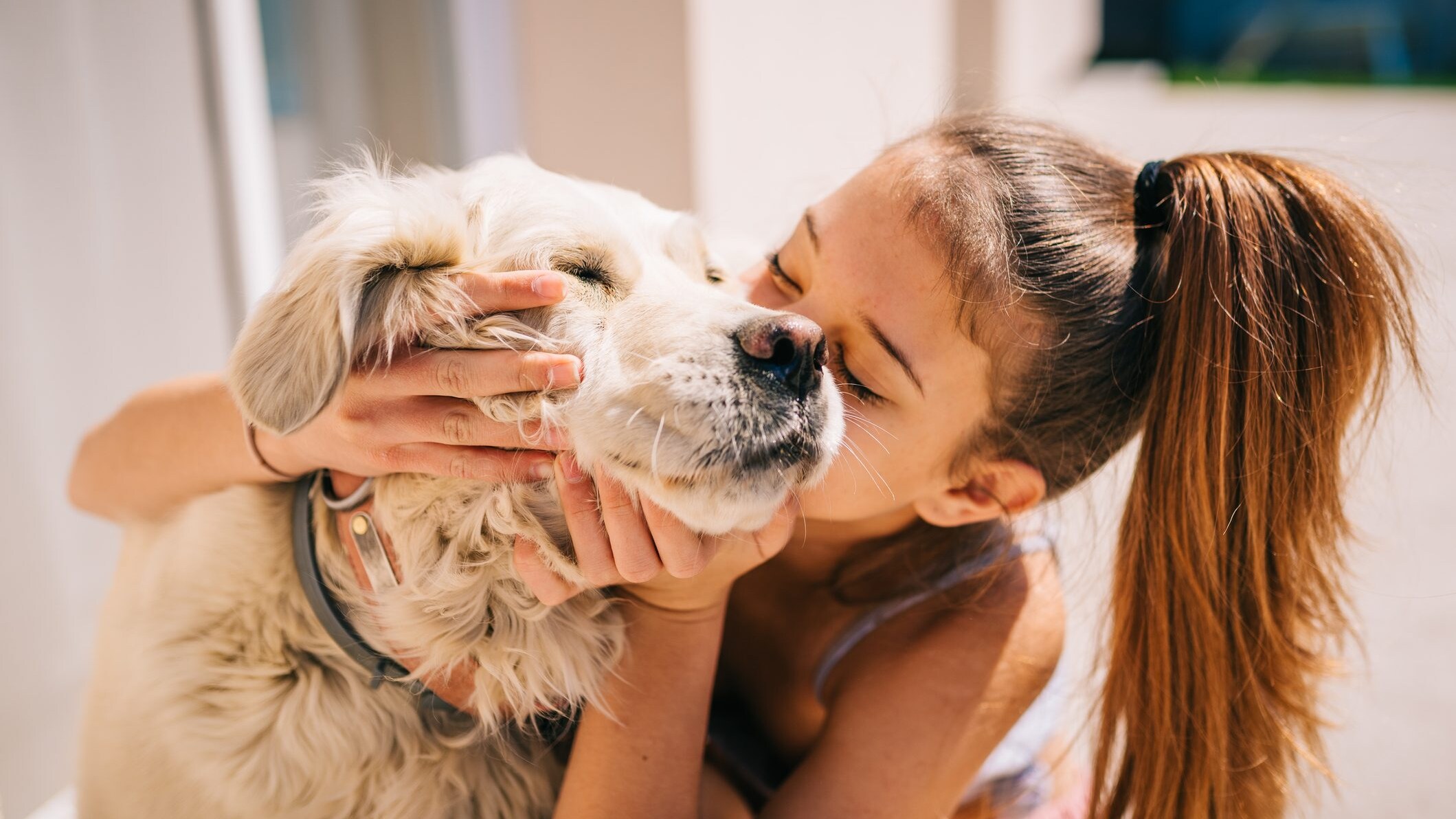 cani e bambini con diabete