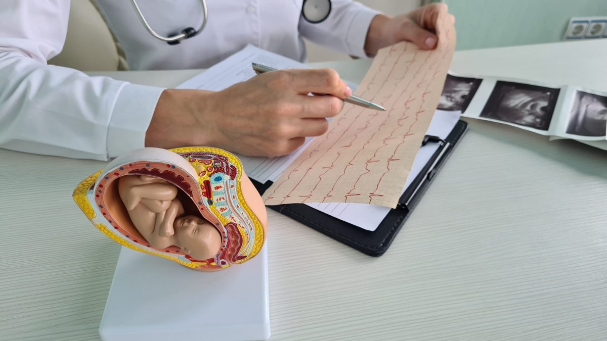 Fecondazione assistita