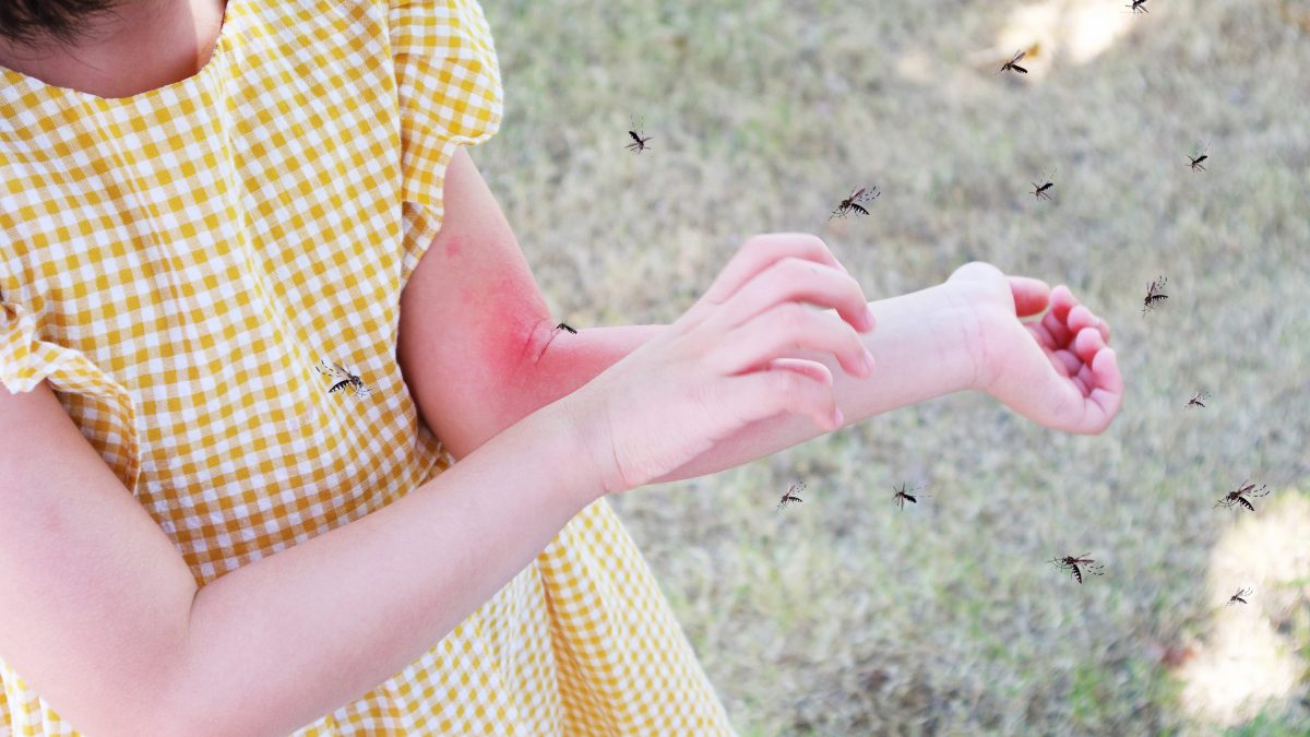 bimba e zanzare
