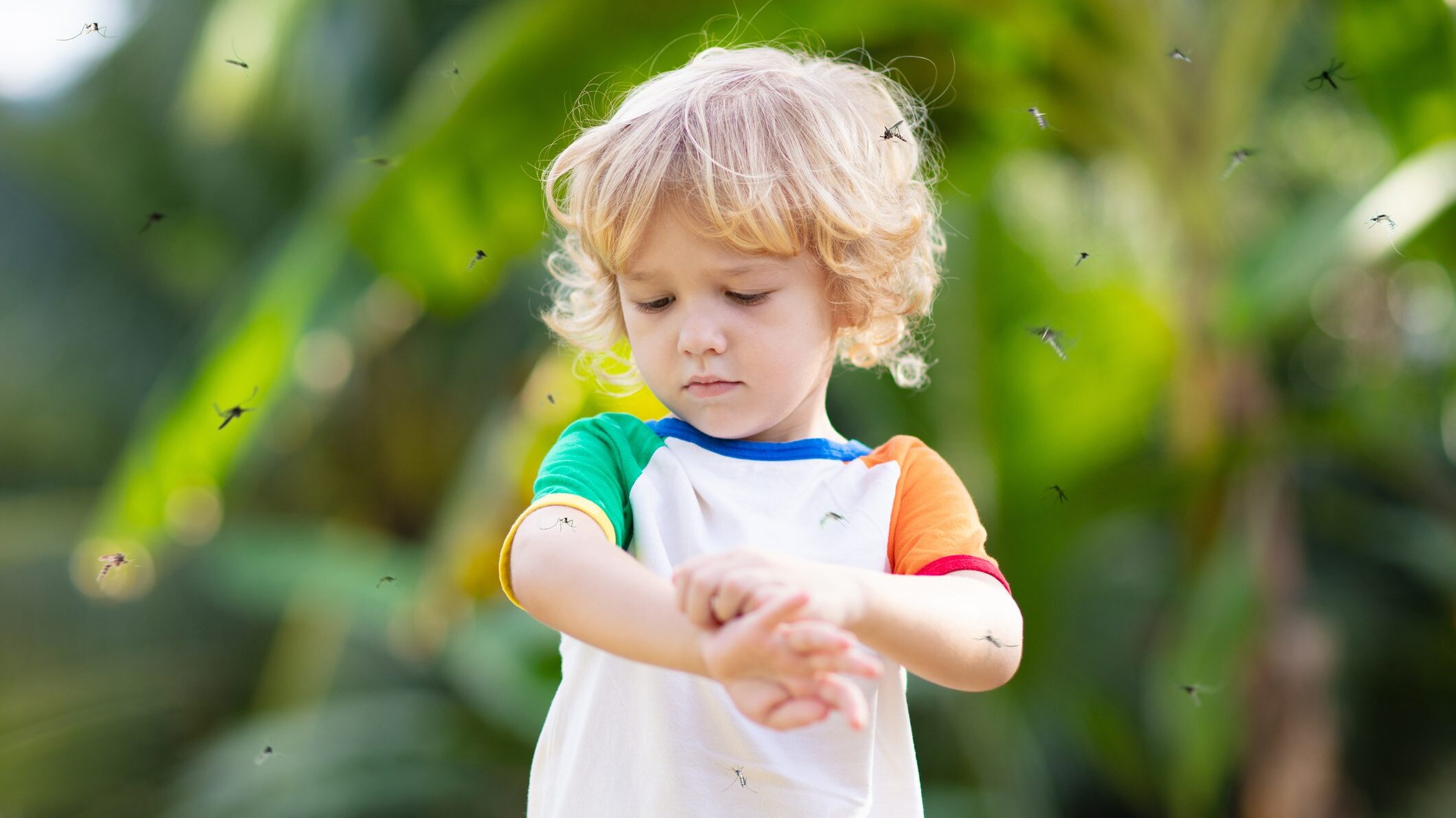 Perché le zanzare mordono proprio mio figlio?