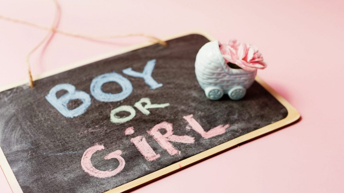 gender reveal party