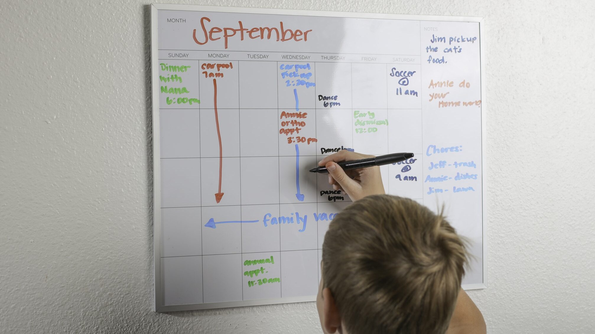 agenda visiva
