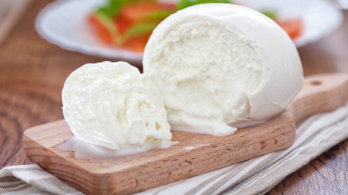 mozzarella
