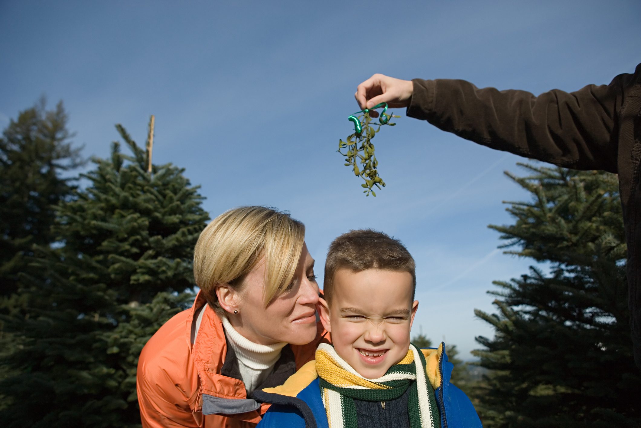 tradizione del bacio sotto il vischio