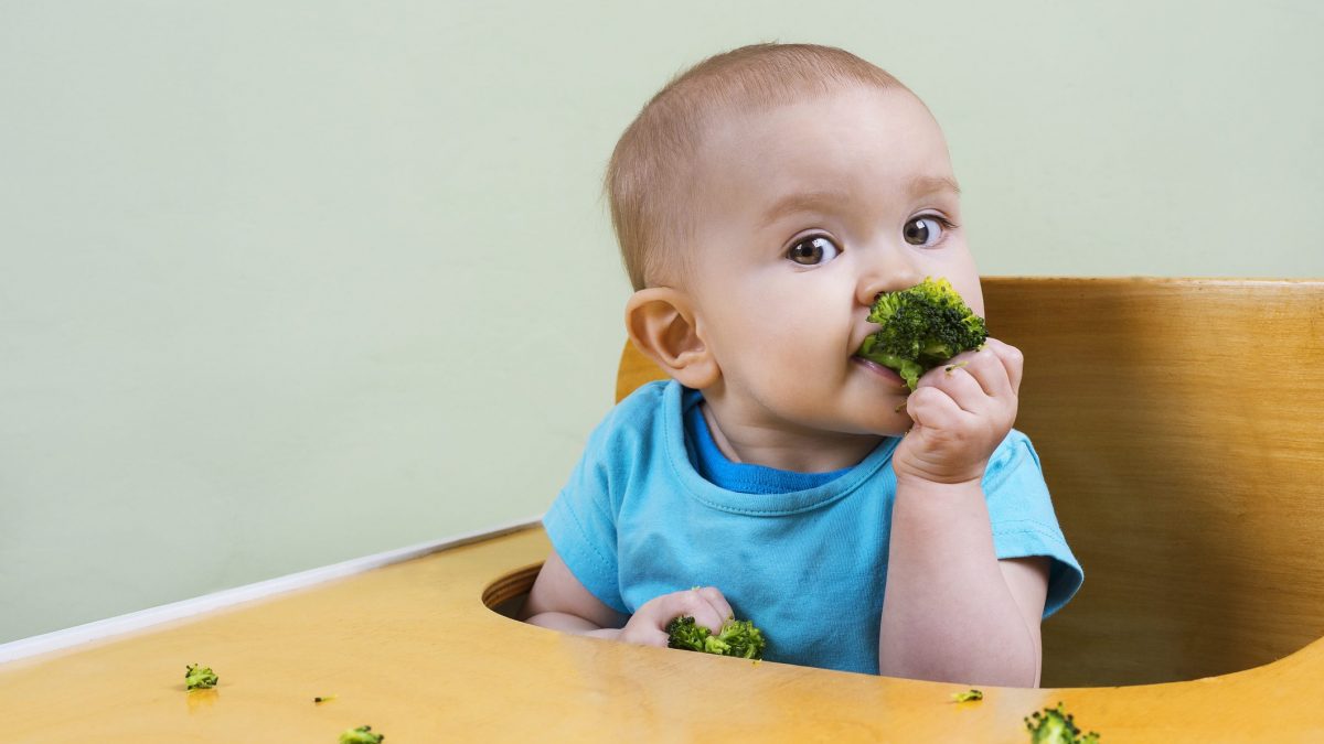 bimbo inizia a masticare