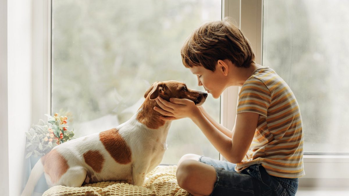 Come insegnare ai bambini a rispettare gli animali
