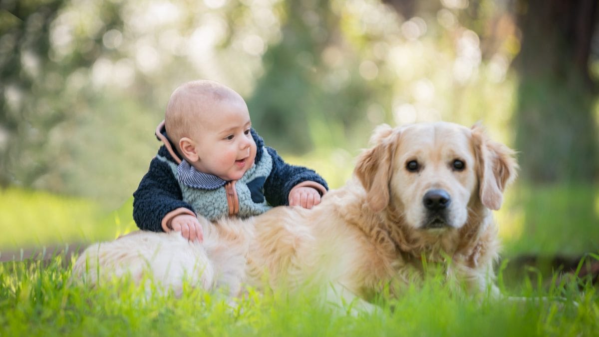 cane e bimbo