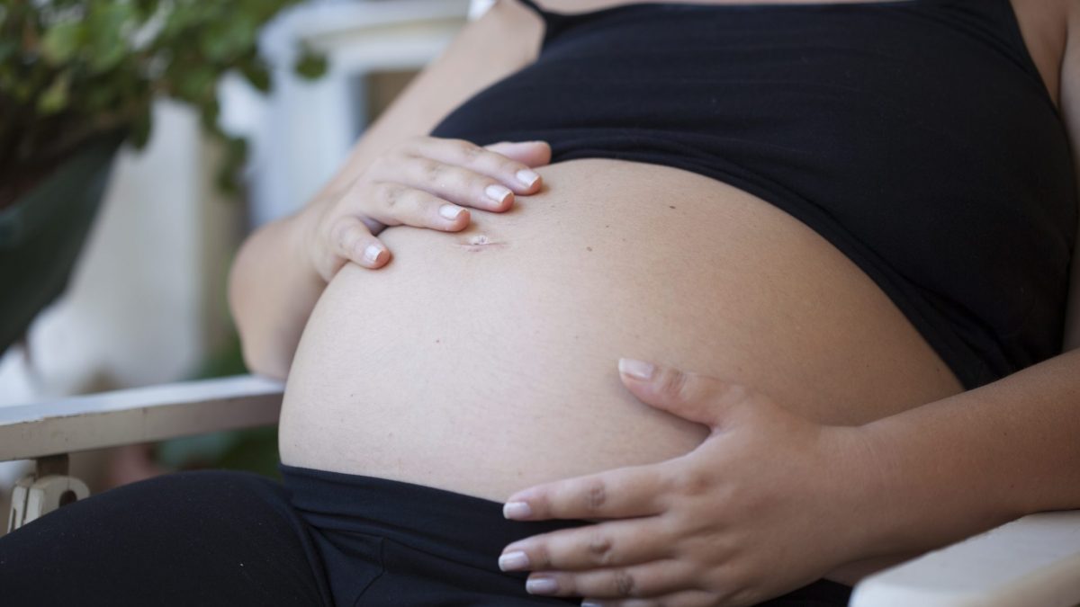 salmonella gravidanza