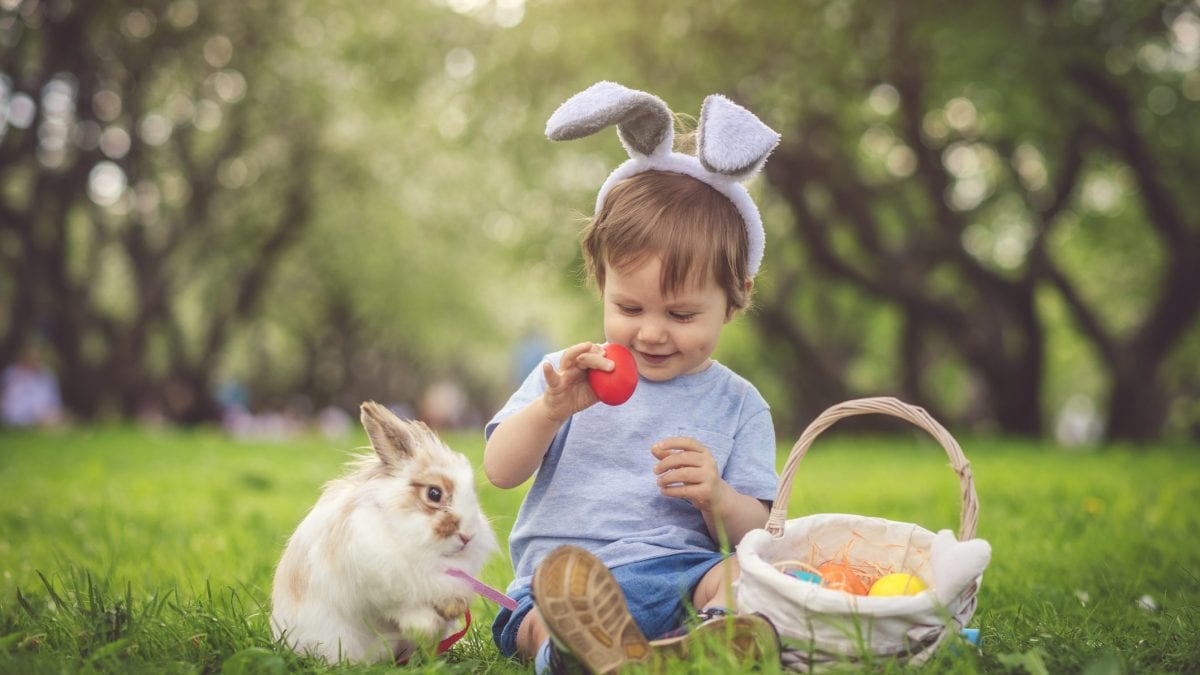 coniglio di pasqua bambino