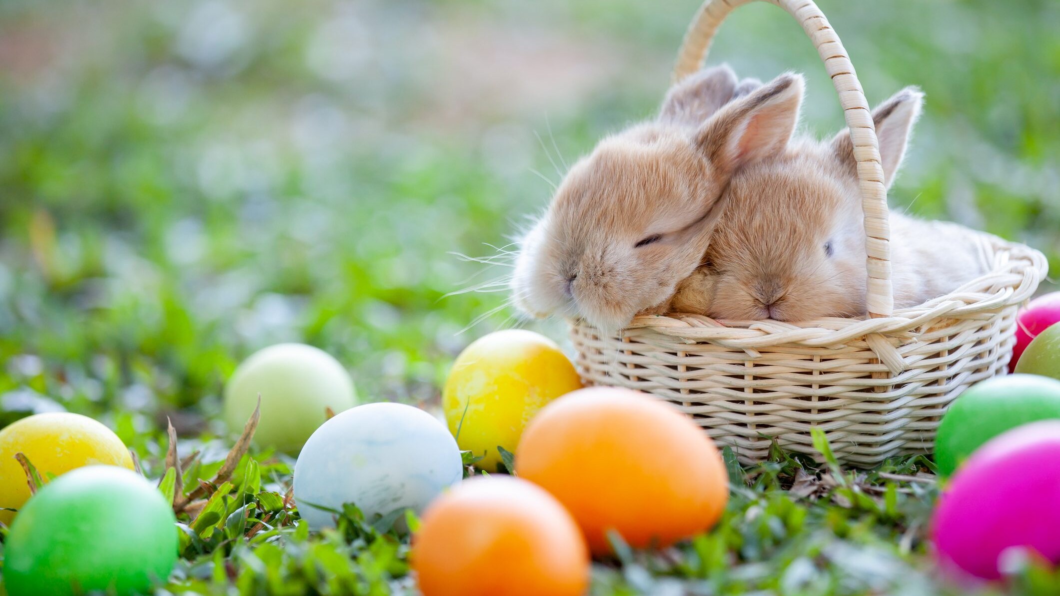 Simboli della Pasqua spiegati ai bambini