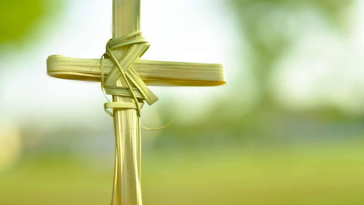 spiegare ai bambini la domenica delle Palme